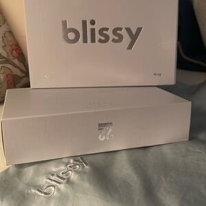 Blissy King Sized Silk Pillow Cases - 2 Matching in Silver/Gray